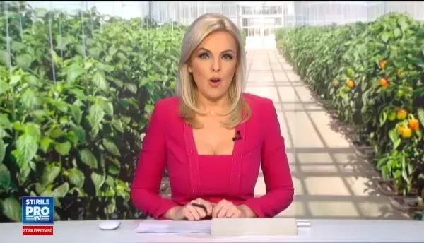 Primele rosii romanesti au aparut deja in piete. Producatorii le vand cu 5 lei/kg, dar in piete ajung cu 15 lei/kg