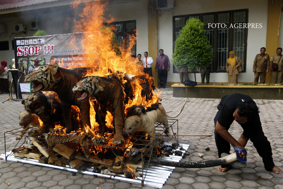 Tara unde braconajul este pedepsit conform principiilor SHARIA. "Vanatorii care incalca regulile nu pot scapa de Allah"