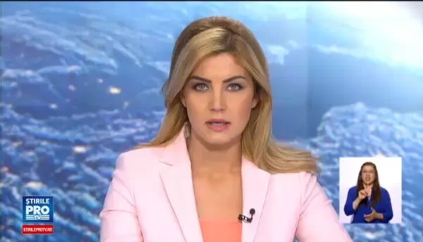 Reteaua de hoti de lemne din Brasov care ar fi fost protejata chiar de seful de post. Ce au descoperit anchetatorii