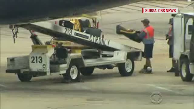 Imagini ingrijoratoare filmate pe aeroportul JFK. Atacurile teroriste ar putea fi realizate cu ajutorul angajatilor