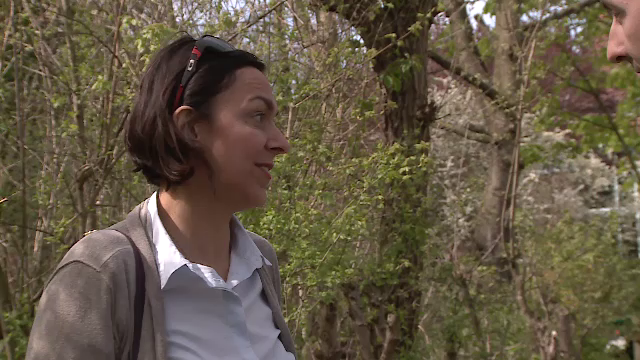 cautam primar campanie - ep.14