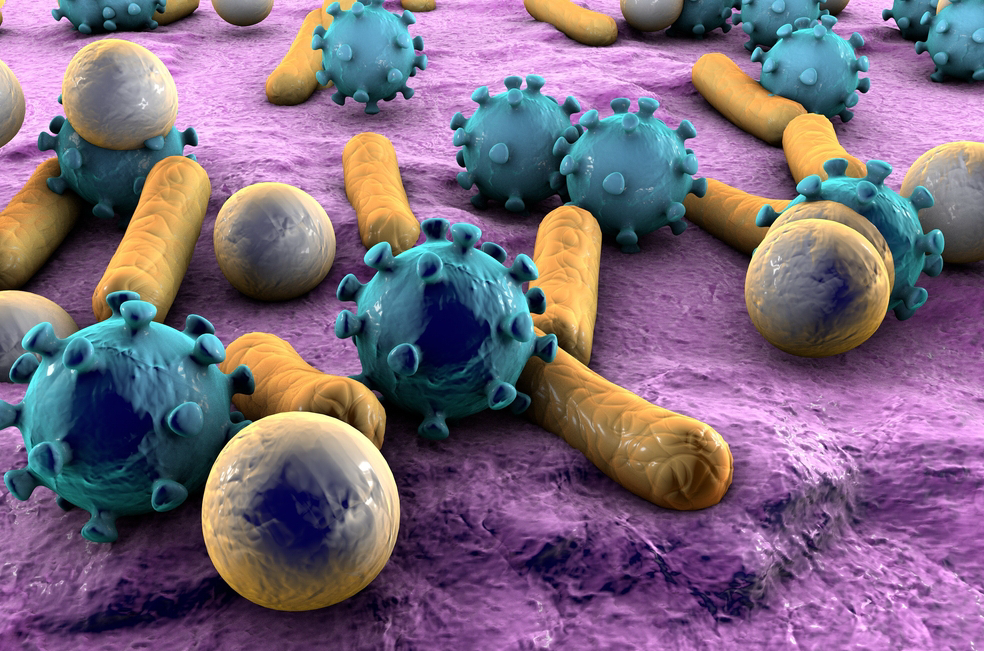 Metoda prin care cea mai periculoasa bacterie din spitalele noastre poate fi invinsa. De ce nu aplica medicii tratamentul