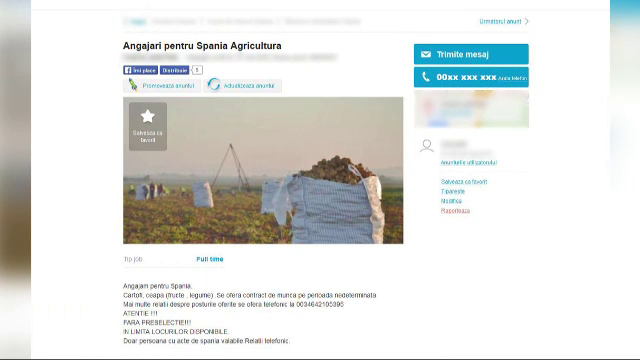 Au postat pe net anunturi false de angajare in strainatate si au pacalit peste 200 de persoane. Cati bani au adunat escrocii