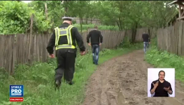 Gestul revoltator facut de un tanar de 19 ani. A schingiuit caii vecinilor ca sa se razbune pe stapani