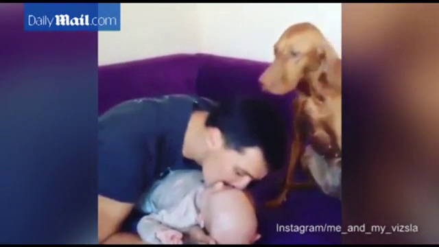 Reactiile unui caine gelos pe bebelusul nou aparut in familie. Gestul cu care vrea sa atraga atentia stapanului. VIDEO