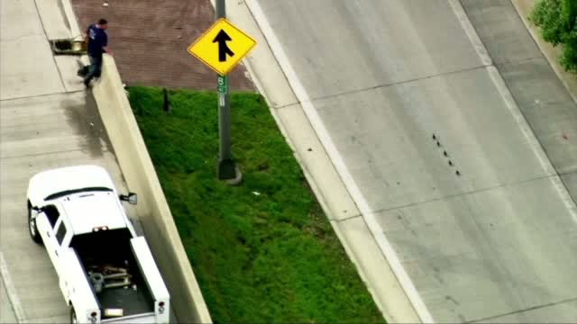 Cinci pui de rata le-au dat batai de cap soferilor pe o autostrada din SUA. Gestul facut de doi muncitori