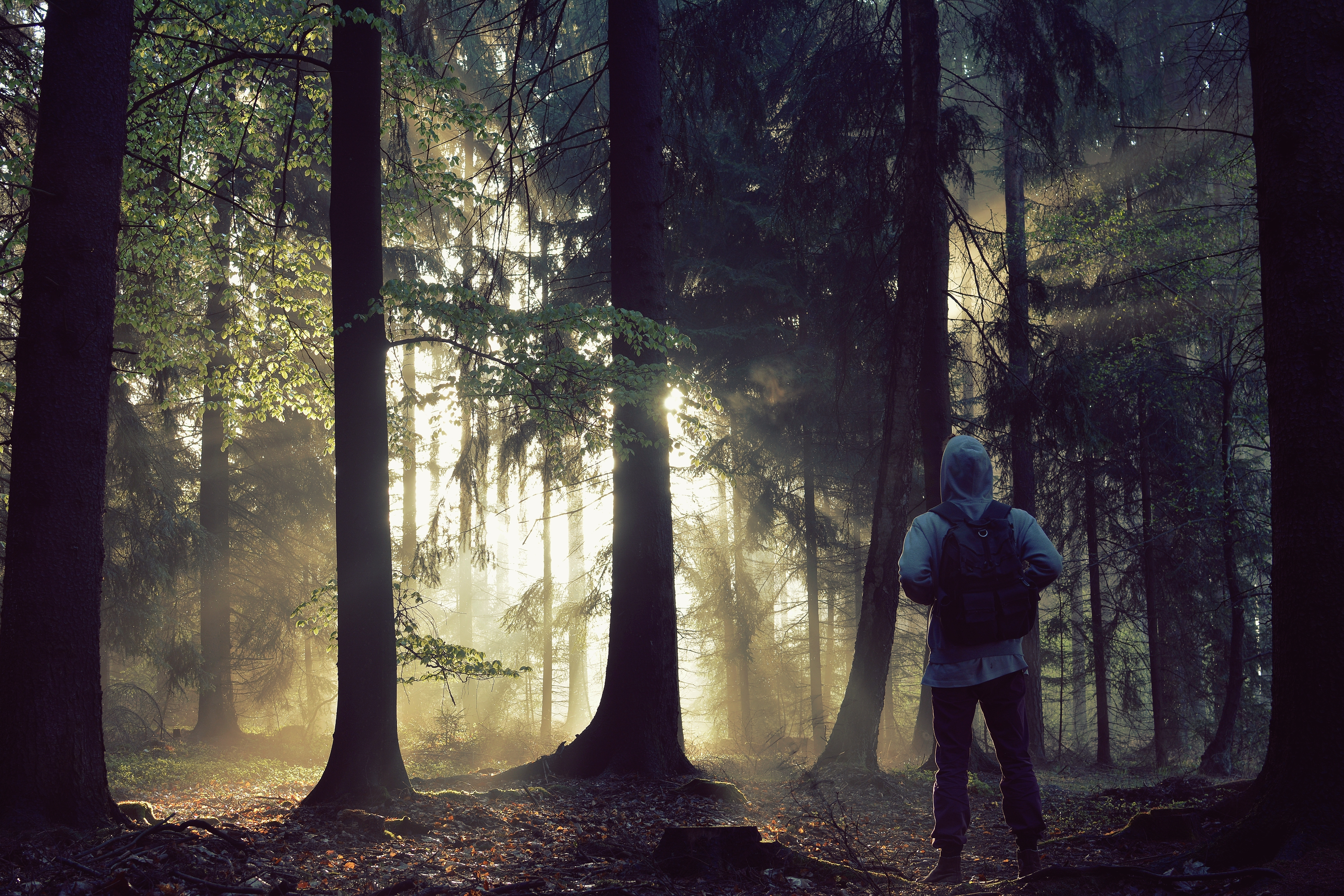 Disparitia misterioasa a unui baiat de 7 ani, in munti. Descoperirea socanta facuta dupa 2 zile de cautari