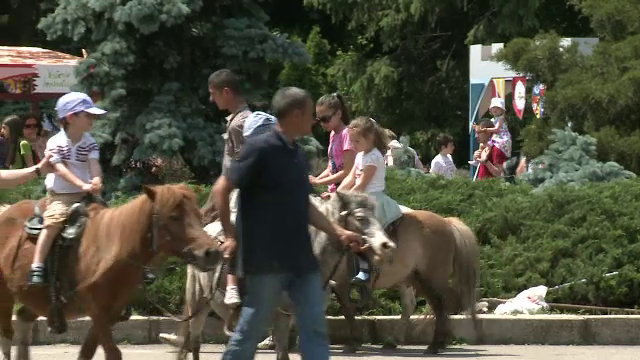 Experienta unica pe care o pot trai copiii si parintii la cel mai mare zoo din Romania: "Aproape ca se sta la coada"