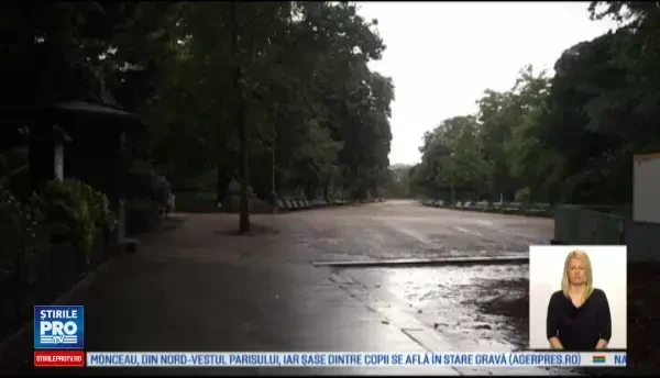 Zece copii si un adult loviti de fulger, intr-un parc din Paris