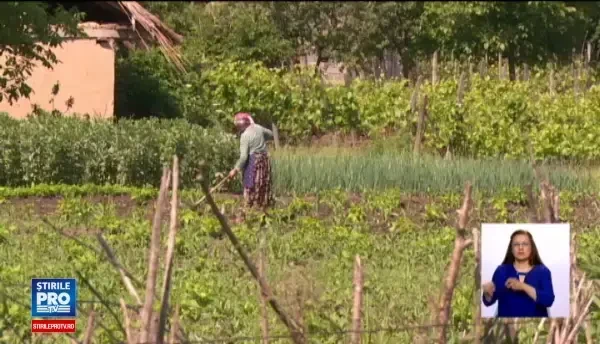 A agonizat o noapte intreaga in curte, dupa ce a fost batuta si violata de necunoscuti. Ce suspecteaza politistii din Vaslui