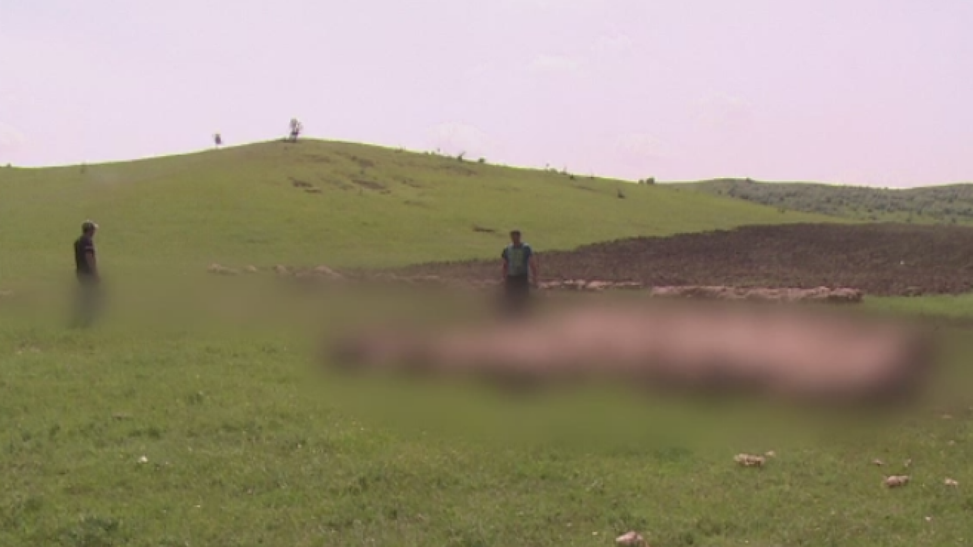 Patru sute de oi au murit in Vaslui dupa ce s-au aruncat intr-o rapa adanca. Ce au vazut incat au luat-o toate la fuga