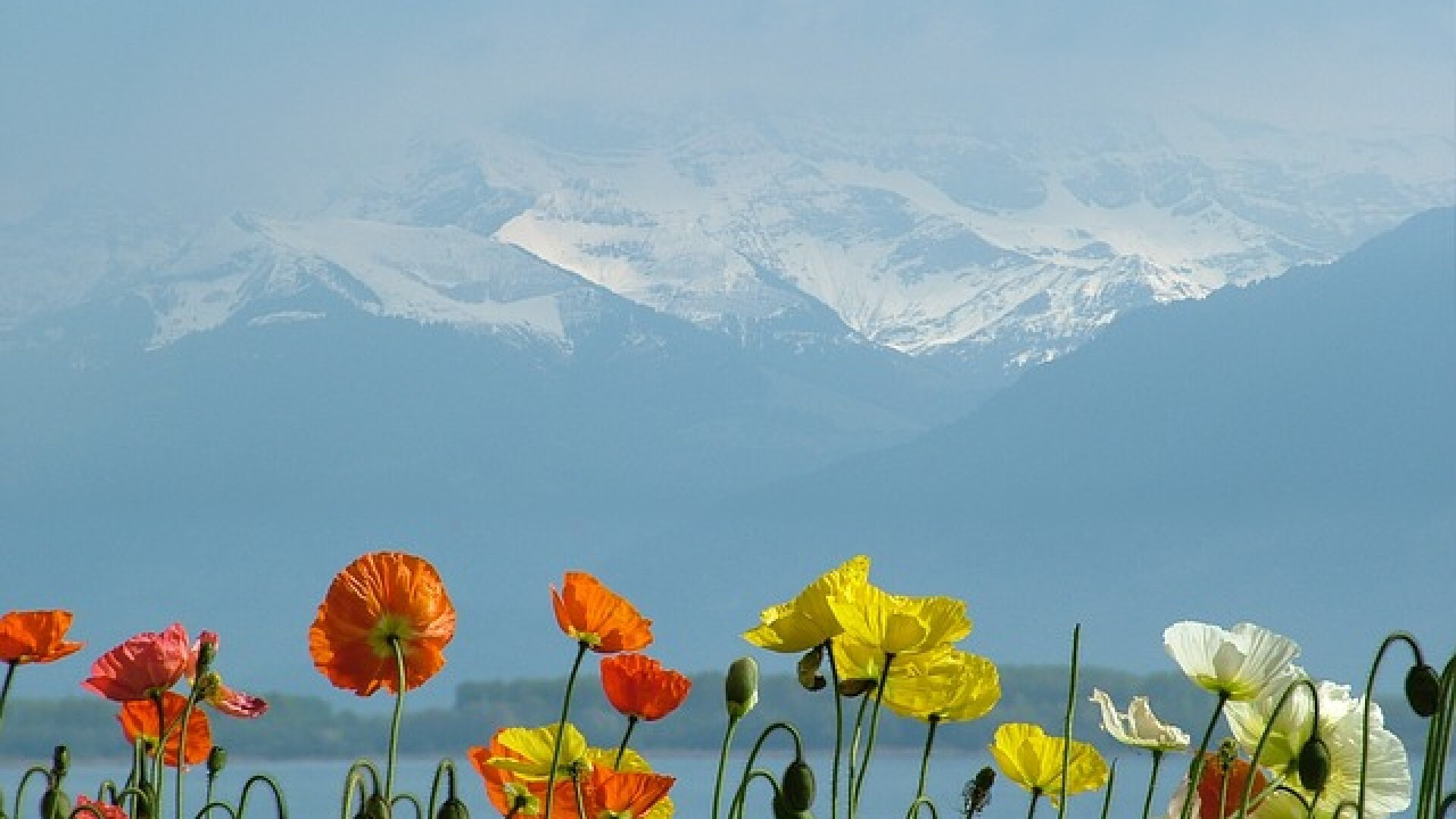 Tarile din Europa cu cel mai ridicat nivel de trai. Statul in care toti ar vrea sa traiasca nici macar nu e in UE