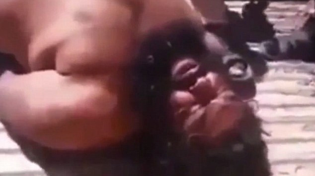 Buldozerul Statul Islamic