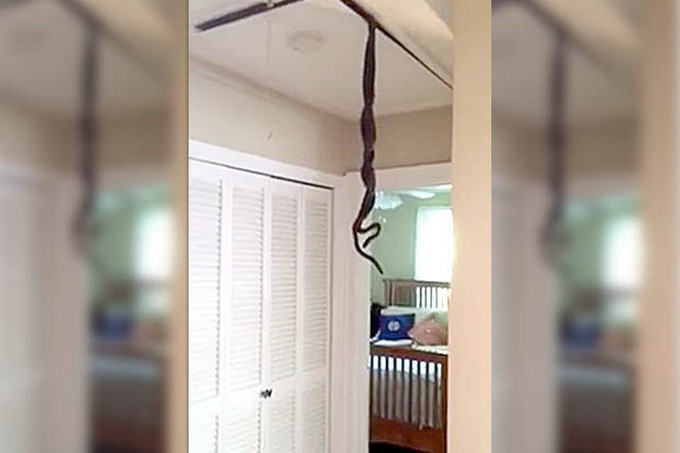 Un barbat a venit acasa si a ramas socant cand a vazut ce era in hol! Ce atarna din tavan