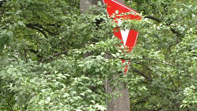 Un semn de circulatie pus "in pom" si unul acoperit au provocat un grav accident in Timisoara. Doi oameni au ajuns la spital