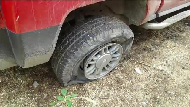 caz agresiune alegeri