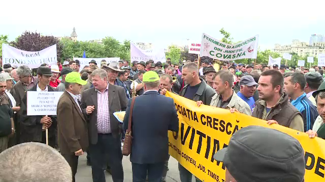 Protest pe muzica de fanfara la Parlament. Fermierii au cerut alesilor sa modifice legi si au impartit telemea cu jandarmii