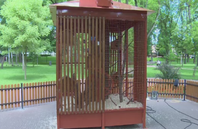 Dupa ce au dat 3000 de euro pe o cusca speciala pentru veverite, au mai si ingradit-o. Gafa autoritatilor din Bistrita