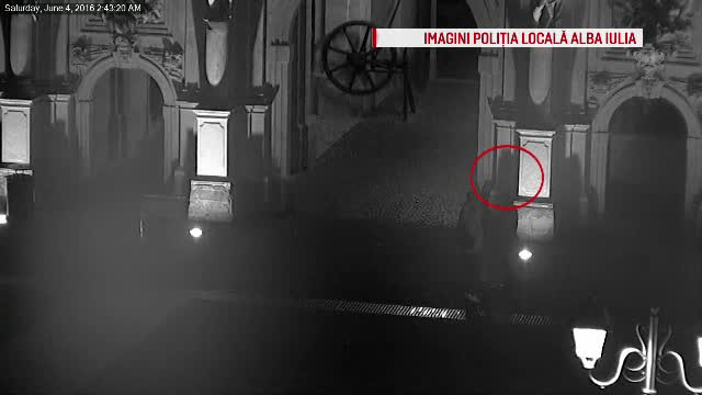 Statuie de la poarta cetatii Alba Carolina, vandalizata. Cum au fost surprinsi hotii