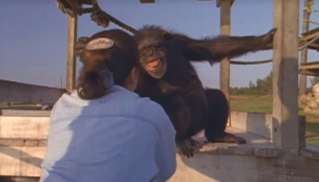 A fost salvat de la experimente, iar dupa 25 de ani si-a revazut salvatoarea. Gestul emotionant facut de animal. VIDEO