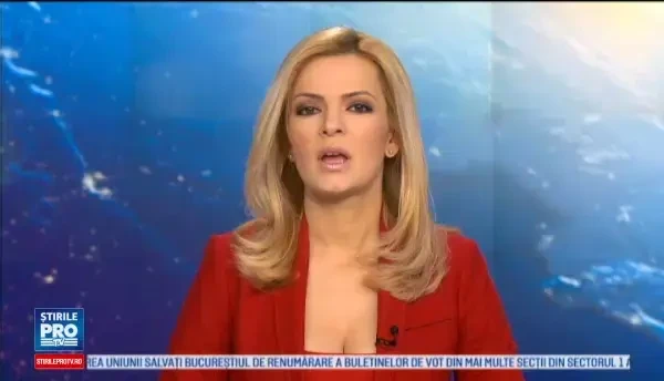 Statuie de la poarta cetatii Alba Carolina, vandalizata. Cum au fost surprinsi hotii