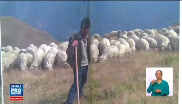 Trupul unui cioban a fost gasit in raul de la marginea satului. Barbatul i-a povestit tatalul sau ca se certase cu alti oieri