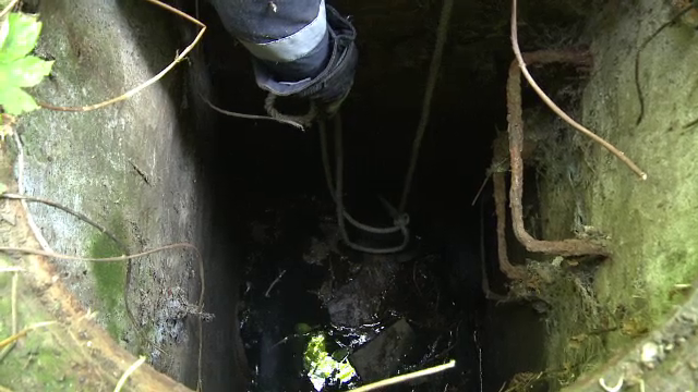 Au auzit schelalaituri dintr-un canal si au chemat pompierii. Ce s-a intamplat dupa cateva ore cu catelusii