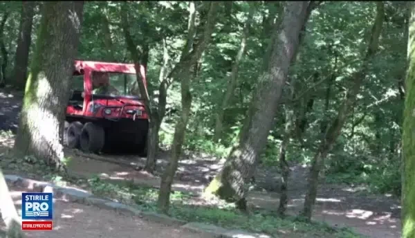 Copil dintr-un centru de plasament disparut in padure, langa Targu Mures. Baiatul aflase ca urma sa fie dat la o familie