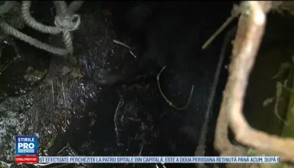 Au auzit schelalaituri dintr-un canal si au chemat pompierii. Ce s-a intamplat dupa cateva ore cu catelusii