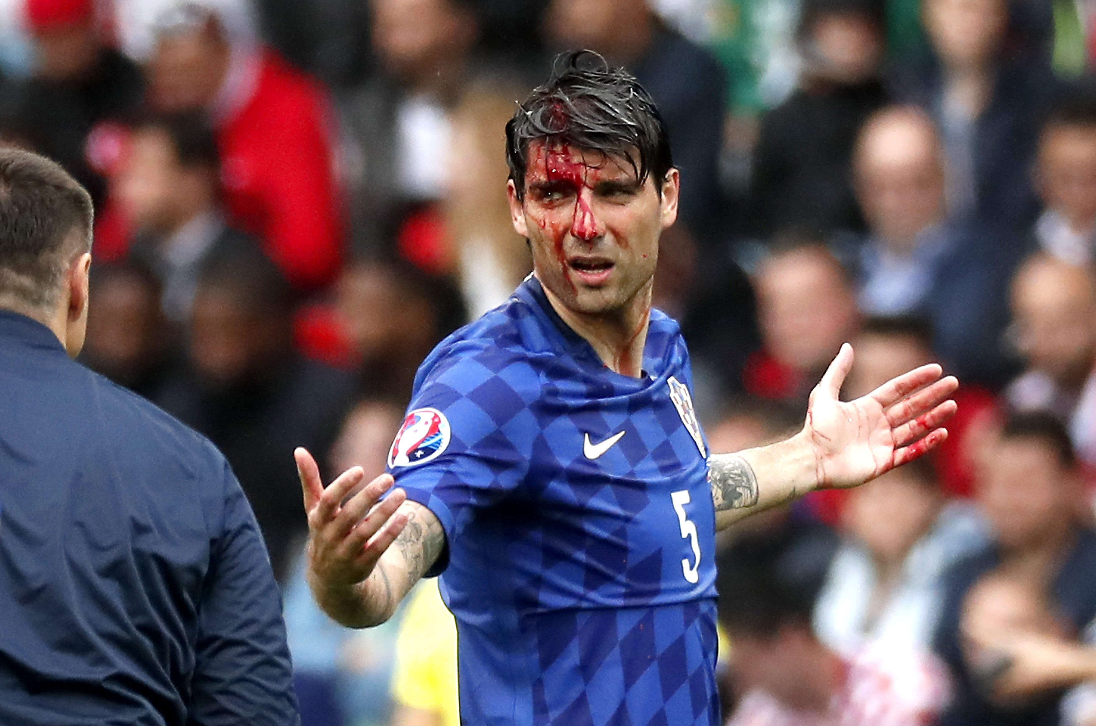 Vedran Corluka - Agerpres