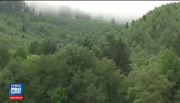 Un cartier din Romania se naruie sub privirile localnicilor, din cauza alunecarilor de teren: Curge ca o lava vulcanica