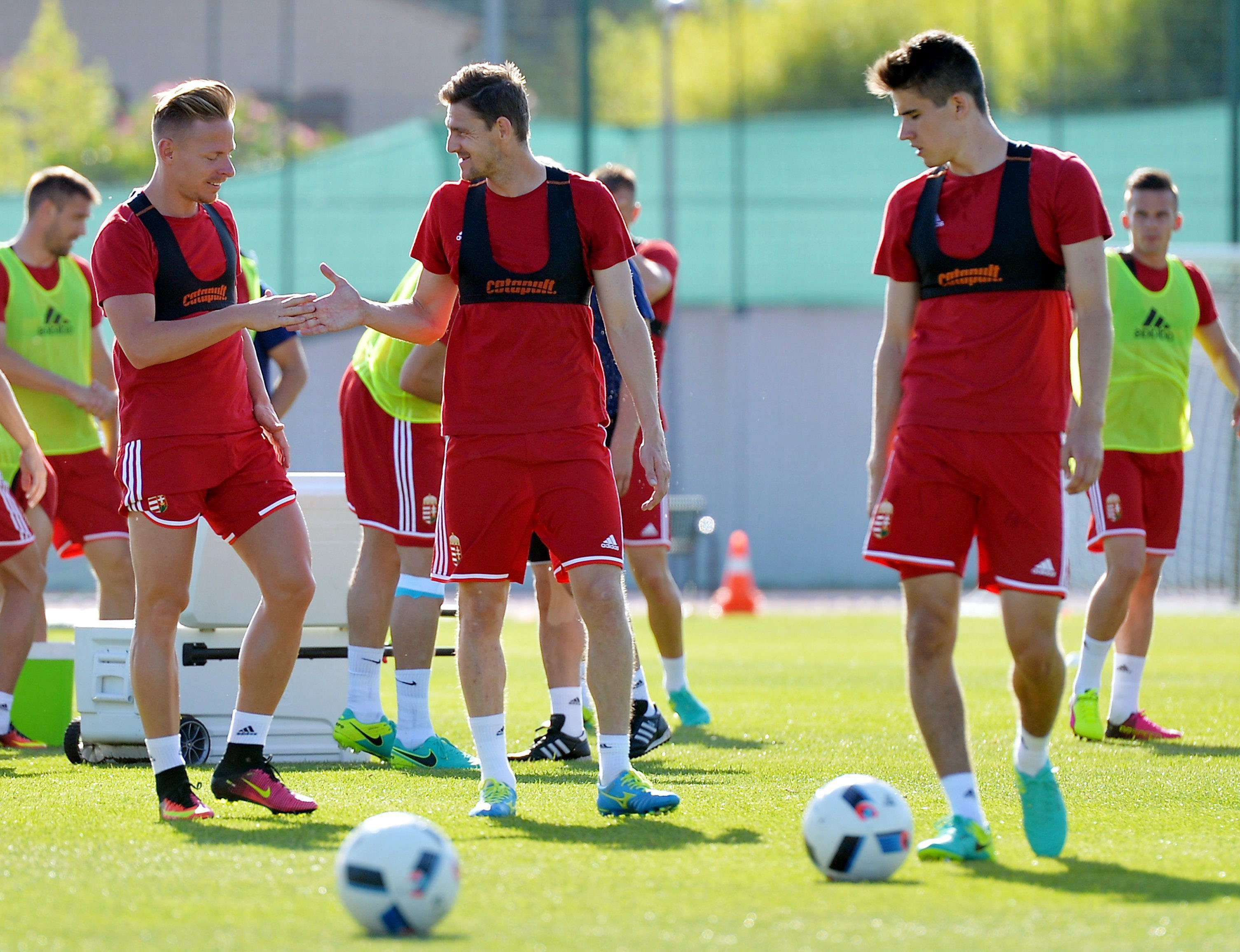 AUSTRIA - UNGARIA 0-2. Maghiarii produc prima mare surpriza de la UEFA EURO 2016. Stieber a marcat un gol superb