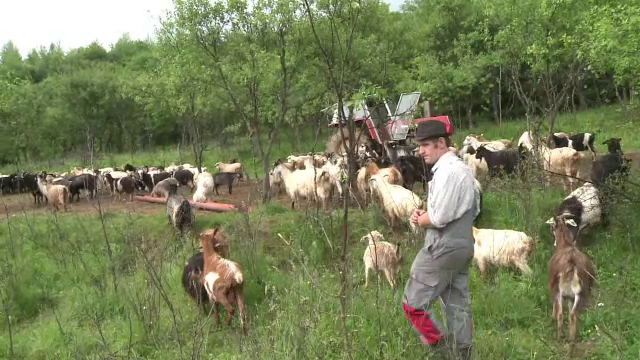 Afacerea care l-a facut pe un figurant in telenovele columbiene sa revina in Romania. Cu ce se ocupa acum Toma
