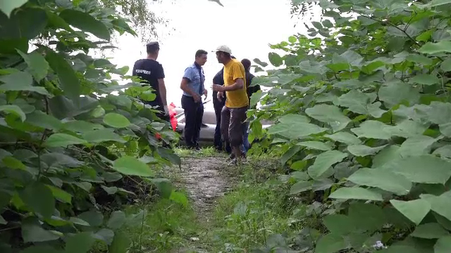 Descoperire macabra facuta de doi pescari, in Maramures. "Am vazut ca plutea pe apa si am spus ca este vaca"