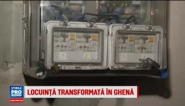 Un locatar din Arad si-a transformat locuinta in ghena. Reactia vecinilor