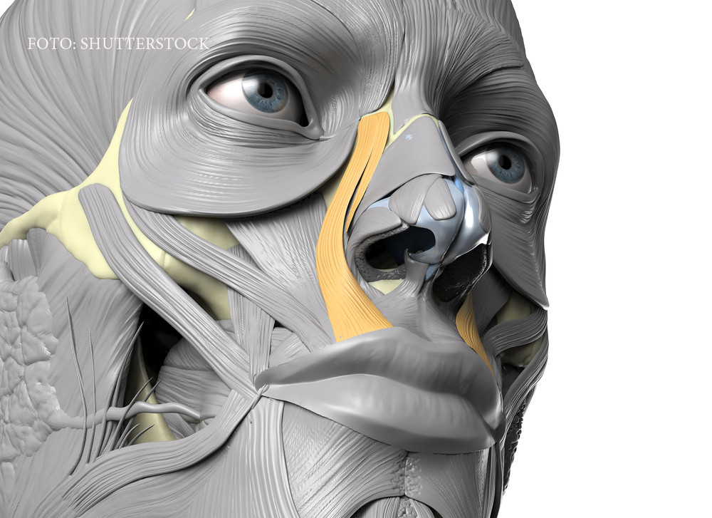 Aerul conditionat va poate imobiliza definitiv muschii fetei. Cat de periculos este sa treceti de la caldura la racoare