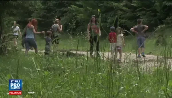 Un urs este suspectat ca a atacat doua persoane, in Brasov. Localnicii recunosc insa ca ei i-au invadat teritoriul