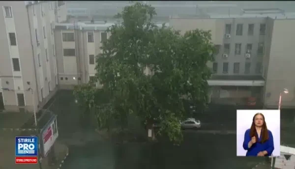 Tragedie in Salaj. O fetita de doi ani a murit dupa ce un plop s-a prabusit pe masina in care se afla, in timpul unei furtuni