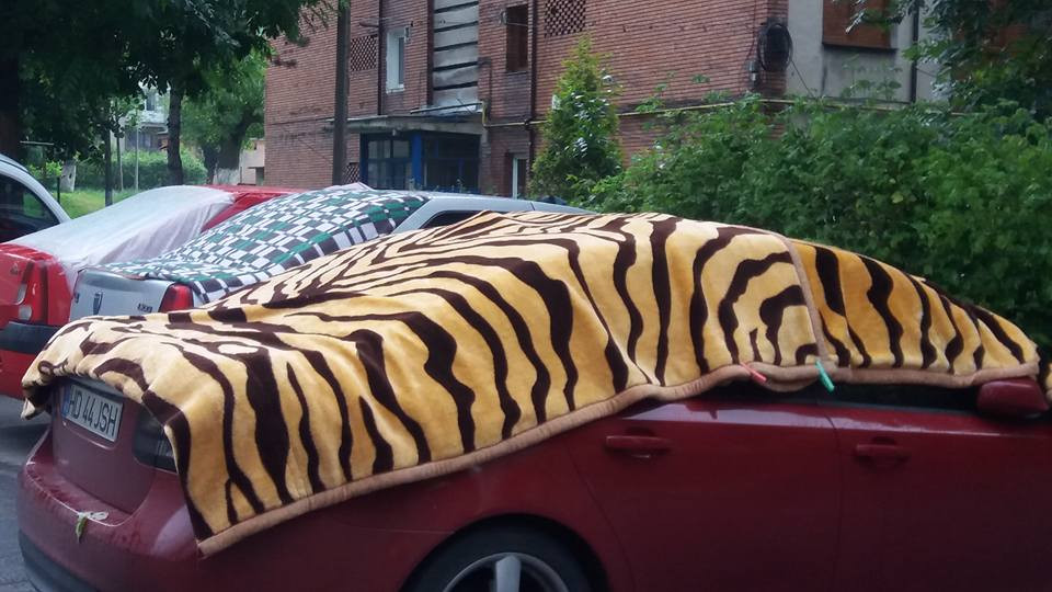 masini acoperite cu paturi in Petrosani