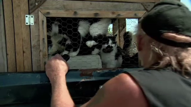 A plecat in vacanta impreuna cu cele 22 de pisici ale lui. De ce nu a reusit barbatul sa-si gaseasca o prietena pana acum