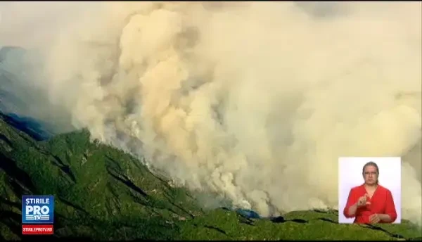 Alerta in California, din cauza incendiilor masive de vegetatie: focul a ars sute de hectare si nu poate fi controlat