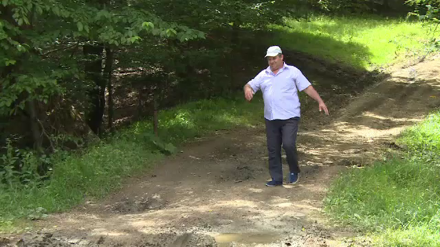 Primarul care a irosit 10 MILIOANE de lei ca sa asfalteze un drum ce se opreste in padure: "Pe aici nu trece decat ursu'"