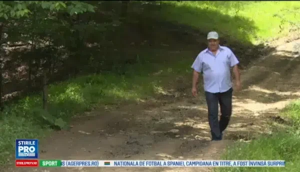 Primarul care a irosit 10 MILIOANE ca sa asfalteze un drum ce se opreste in padure