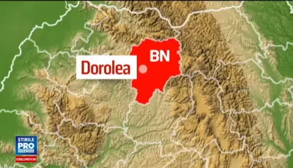 Barbat atacat de urs, in Bistrita Nasaud: Ma omoara, m-a prins si nu ma mai lasa. Cine i-a salvat viata