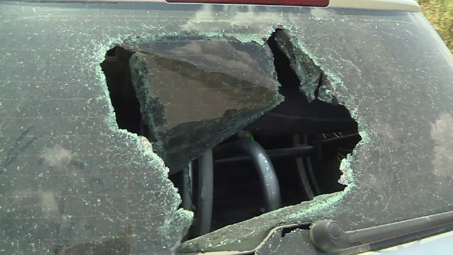 Un voluntar sustine ca a fost atacat cu rangi de angajatii gropii de gunoi de la Jilava. Reactia companiei