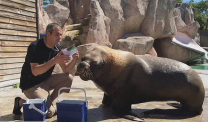 Ar fi cea mai mare surpriza de la euro! Ce super forta ar putea fi eliminata in optimi