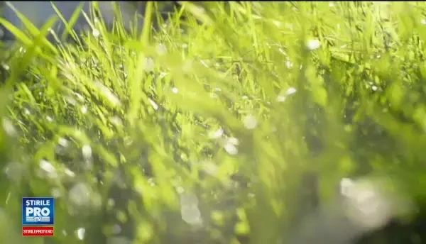 Val de decese din cauza caniculei, in Moldova. 13 oameni au murit in doar 48 de ore