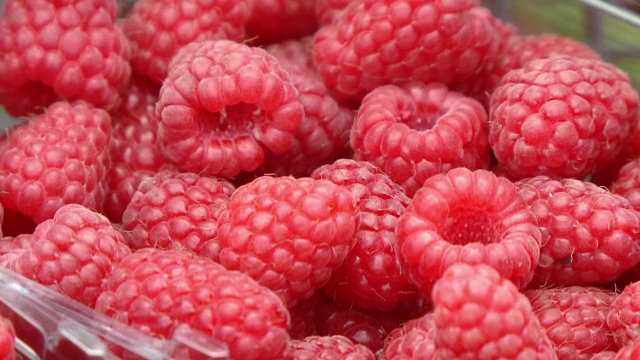 Fructul-vedeta al inceputului de vara i-a facut pe producatori sa simta gustul afacerii. Cu cat se vinde un kg de zmeura