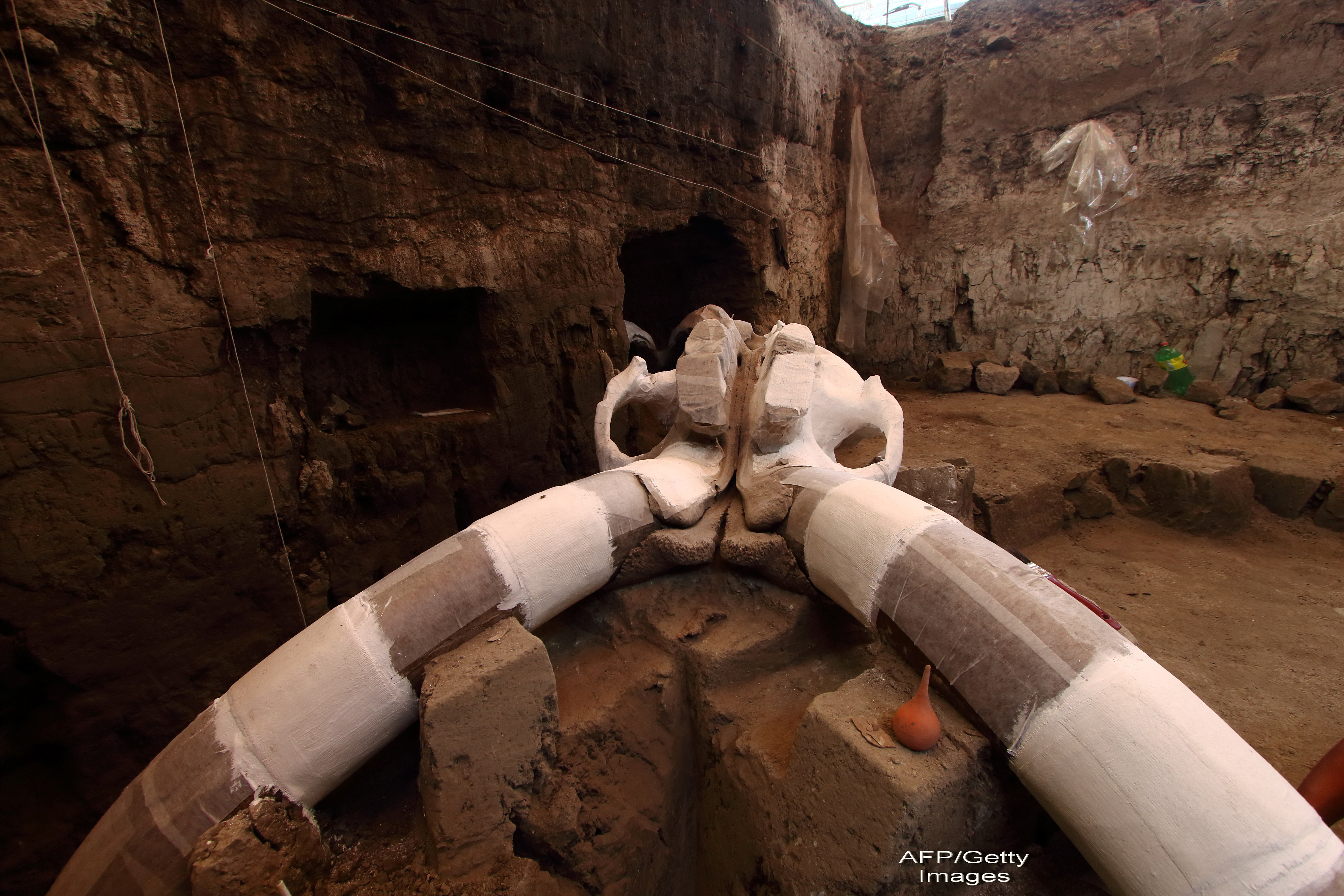 Descoperirea impresionanta facuta in Mexic. Ramasite vechi de 14.000 de ani au fost gasite sub un drum de pamant