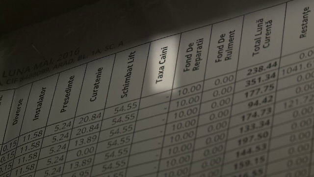 Taxa "gandita" de locuitorii unui bloc din Arad: birul pe caine. Cat vor sa ii puna sa plateasca pe proprietarii de animale